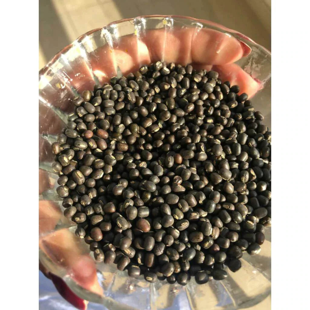 Balaayah Urdbohne Körper-Booster - Packung mit 5