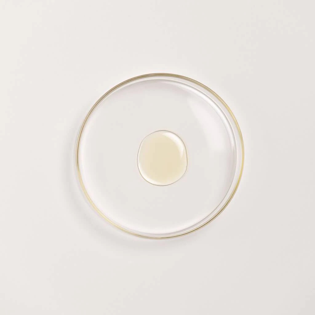 Balaayah Urdbohne Körper-Booster - Packung mit 5